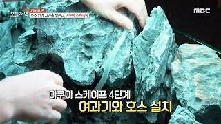 [생방송 오늘 저녁] 수조 안에 자연을 넣는 예술, '아쿠아 스케이핑' MBC 201022 방송