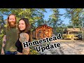 Update from our Homestead | Living simply on our land