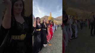 Kurdish Wedding Bayanlardan Oluşan Muhteşem Bir Halay