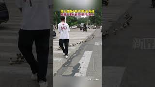 偶遇小鸭子排队过马路，被震下来后自觉排好队跟上队伍