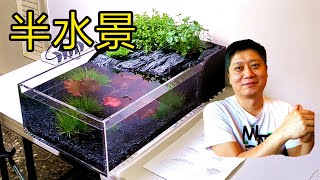 水草半水景(水陸缸)製作 水族客戶訂製服務 辦公室風水擺設 流水岩石造景 岩板 水上葉水中葉 睡蓮 日本簀藻 虎耳 日本珍珠草 How to make a Paludarium in office