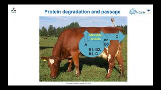 EuroDairy webinar - The role of forages as a protein source in dairy systems