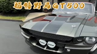 1967款福特野马GT500