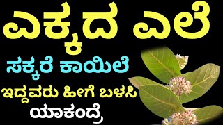 ಎಕ್ಕದ ಎಲೆ ಸಕ್ಕರೆ  ಕಾಯಿಲೆ ಇದ್ದವರು ಇವತ್ತೆ ಸೇವಿಸಿ | Kannada health tips