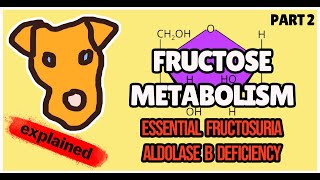 Disorders of FRUCTOSE metabolism (Fructokinase deficiency. Aldolase B deficiency)  for Step 1