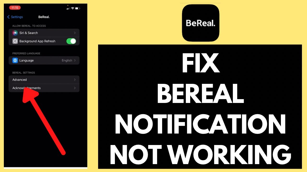 How To FIX BeReal Notification Not Showing On IPhone (2023) - YouTube