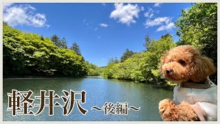 【犬と旅行】自然あふれる軽井沢旅行🐶後編