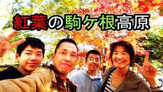 【バスツアー】紅葉に囲まれた 駒ケ根高原 こまくさ橋