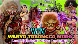 WAHYU TURONGGO MUDO WTM TEMANGGUNG II WTM GARIS KERAS