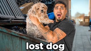 We Found a Lost Dog All Alone