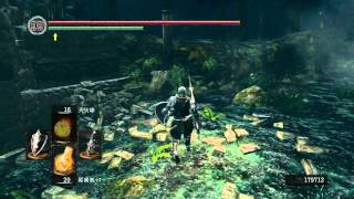 [翔麟實況]黑暗靈魂八周目(Dark souls NG+7)實況第3集