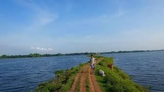 গরীবের নিকলি, খাতিয়া,পূবাইল,গাজীপুর