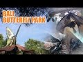 Tabanan Bali Butterfly Park