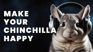 Chinchilla Music to Relax \u0026 Soothe Your Pet | Calming Tunes ❤️