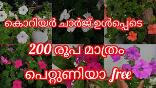 കൊറിയർ ചാർജ് ഉൾപ്പെടെ 200 രൂപ @villagelife74