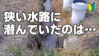 【小物釣り】こんな所にも君はいるんだね…。