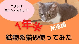 【プロのキャットシッターが実験！】鉱物系猫砂を使用してみての感想（所感編）