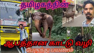 தமிழகத்தின் ஆபத்தான பேருந்து பயணம் | அதிரப்பள்ளி To வால்பாறை | Dangerous Road Trip | Travel Diaries