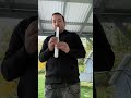 native american flute w reverb