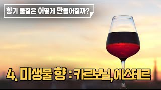 최낙언TV_향의 언어_4. 미생물 향 : 카르보닐(Carbonyl), 에스테르(Ester)