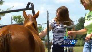 New item on air ambulance saves girl after horse accident