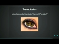 Dave Smith: Writing custom directives