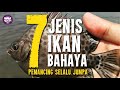 Ini 7 jenis ikan yang ada sengat ‘maut’....