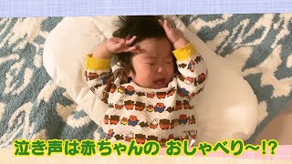 【公式】「泣き声は赤ちゃんのおしゃべり～!?」（5月9日放送）｜テレビ西日本