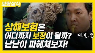 상해보험은 어디까지 보장이 될까? 상해보험을 낱낱이 파헤쳐보자!