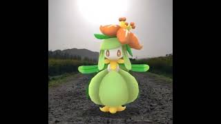 드레디어 ( Lilligant ) ドレディア ( 裙兒小姐 )