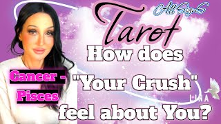 All Signs Tarot💜How does Your Crush feel about You?💜