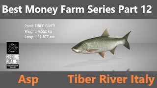 Fishing Planet, Best Money Farm Series Part 12, Asp, Tiber River Italy