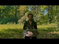 singing with the birds handpan improvisation panlix