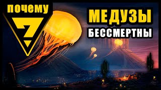 почему медузы БЕССМЕРТНЫ?