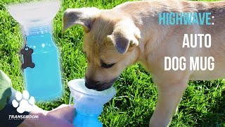 Highwave: Auto Dog Mug | TRANSGROOM