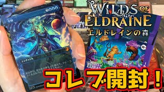 【MTG開封】エルドレインの森　コレブ開封2BOX目『Wilds of Eldraine』 #MTGWOT