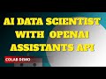 Build an AI Data Scientist with OpenAI Assistants API  Full tutorial with  Python code Gradio UI