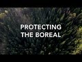 Protect the Boreal Forest