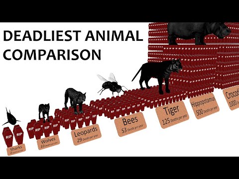 What is the most dangerous animal in Syria?