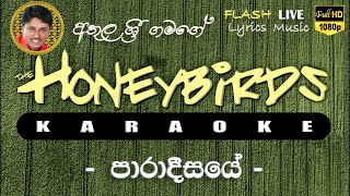 Paradisaye Ae Ha Yawela Karaoke (Without Voice) පාරාදීසයේ ඈ හා යාවෙලා කැරෝකේ