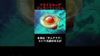 美味しいのか？見た目が食べ物な飯テロ生物3選 #shorts #ゆっくり解説