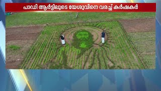 ഈശോ..ദേ പാടത്ത് യേശു..;പാഡി ആര്‍ട്ട് പൊളിയല്ലേ | Rice Paddy Art | Thalsamayam Reporter