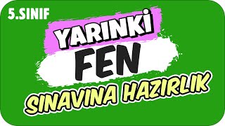 YARINKİ FEN SINAVINDA ÇIKAR! ✍🏻 5. SINIF