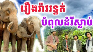 រឿងរ៉ាវ​ដ៏រន្ធត់បំពុលដំរីស្លាប់៥ក្បាល​ នៅលេីភ្នំខ្មោច