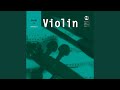 Violin Sonata in G Minor, HWV 364: II. Allegro