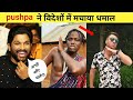 pushpa ने विदेशों में मचाया धमाल | teri jhalak asharfi srivalli song | devid warner | kili paul