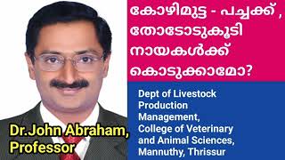 കോഴിമുട്ട - പച്ചക്ക് ,തോടോടുകൂടി നായകൾക്ക് കൊടുക്കാമോ?