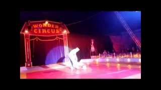 Wonder Circus - Macey's 6th Birthday