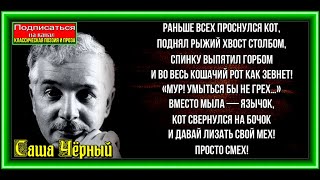 Про Кота , Саша Чёрный ,  Русская Поэзия ,  читает Павел Беседин