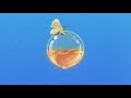 Slothrust - Cranium